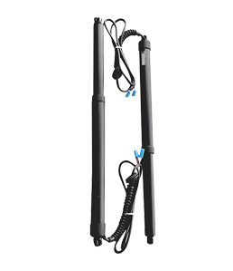 Power Liftgate Strut Motor